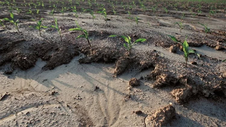 Soil Erosion