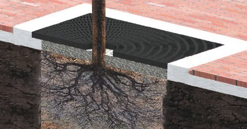 Tree Grate